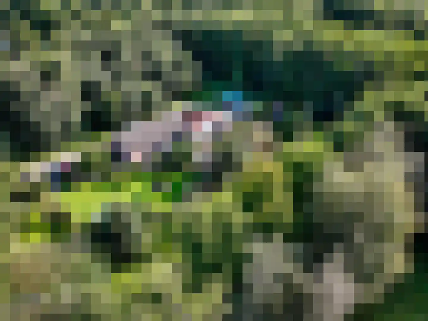 A 325 325 Elst thumbnail 44