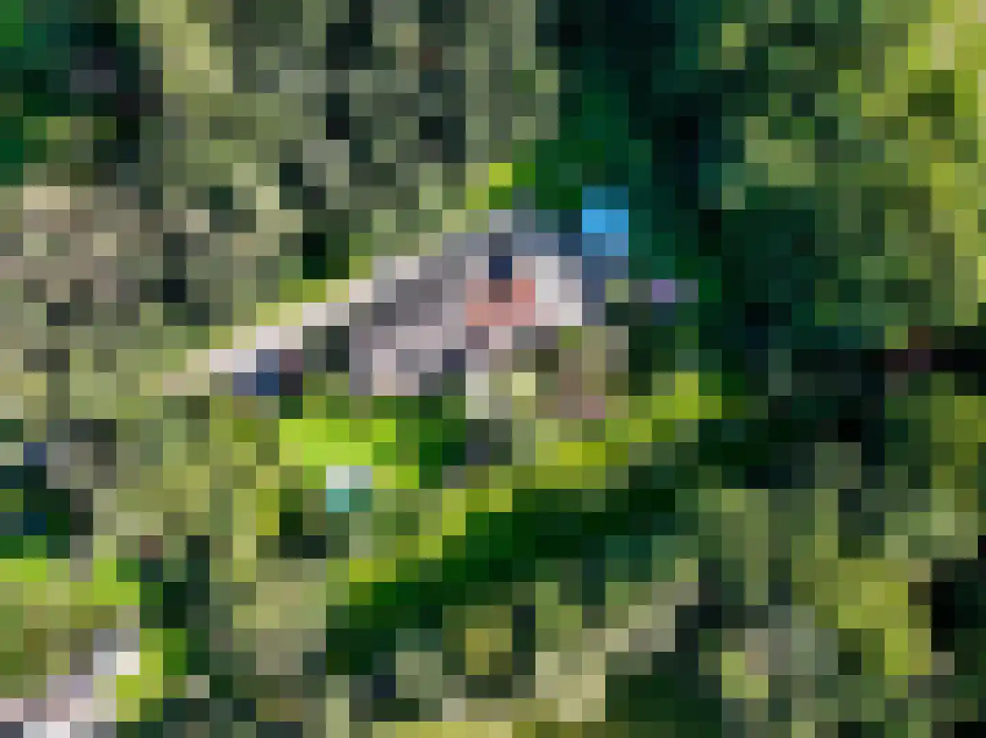 A 325 325 Elst thumbnail 45