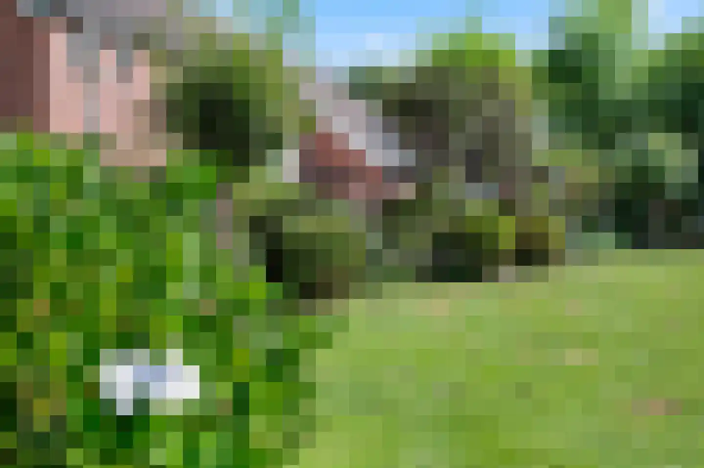 A 325 325 Elst thumbnail 7