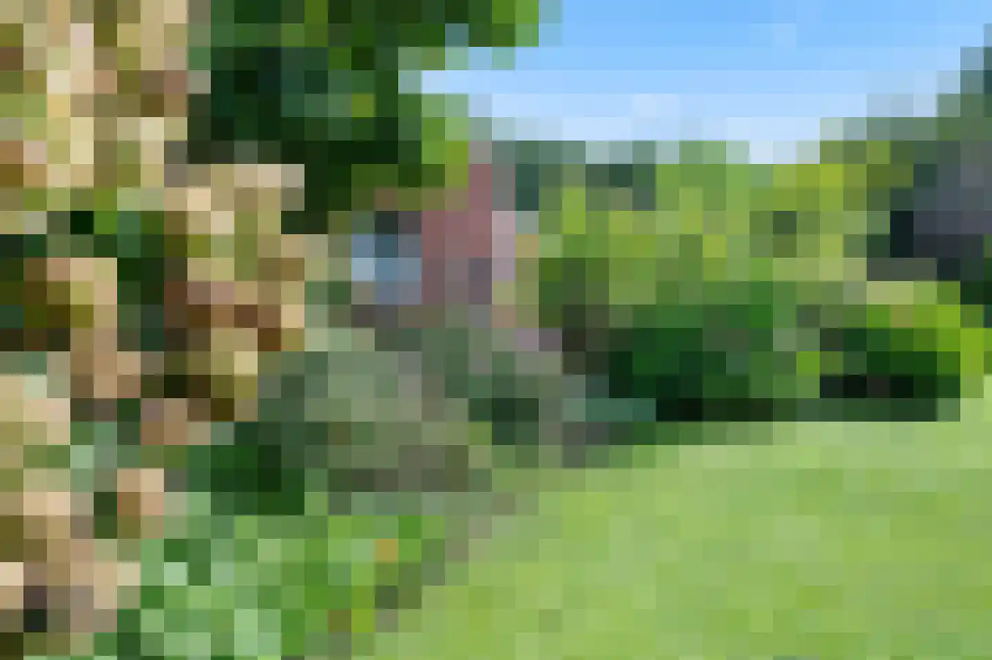 A 325 325 Elst thumbnail 8