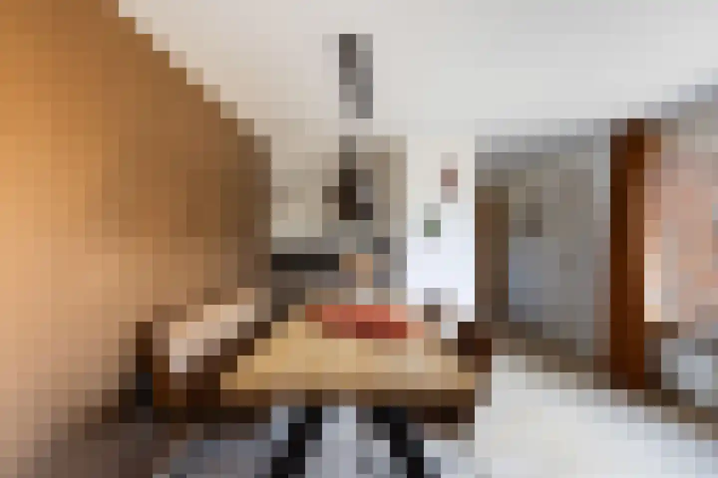 A.A. Meerenburghstraat 3 Strijen thumbnail 25