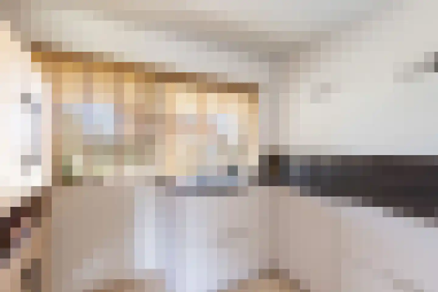 A.A. Meerenburghstraat 3 Strijen thumbnail 29