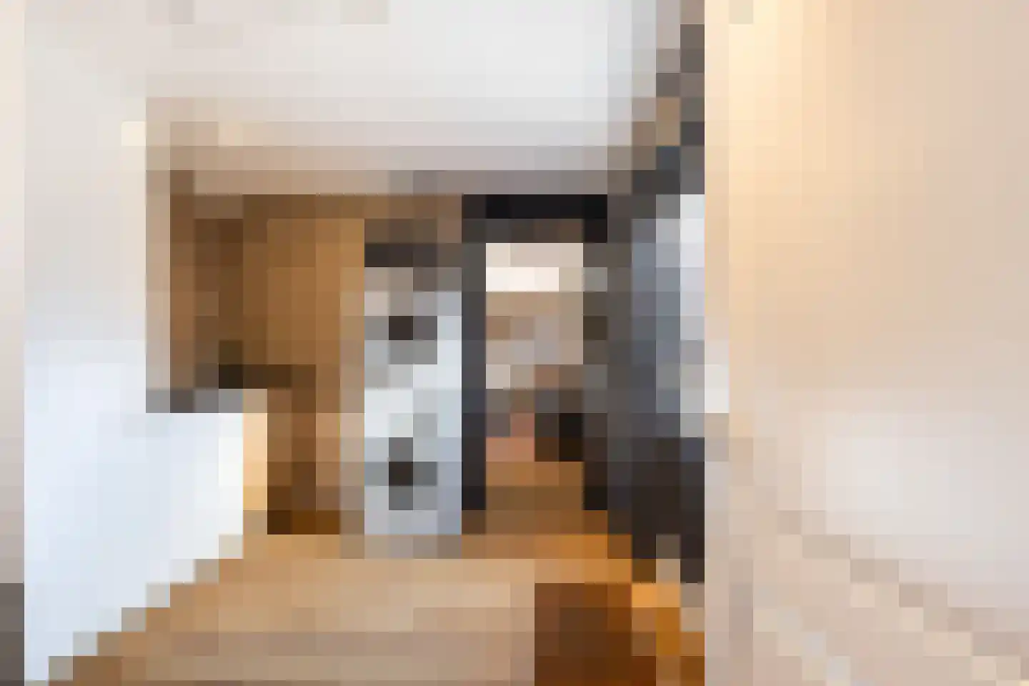 A.A. Meerenburghstraat 3 Strijen thumbnail 31