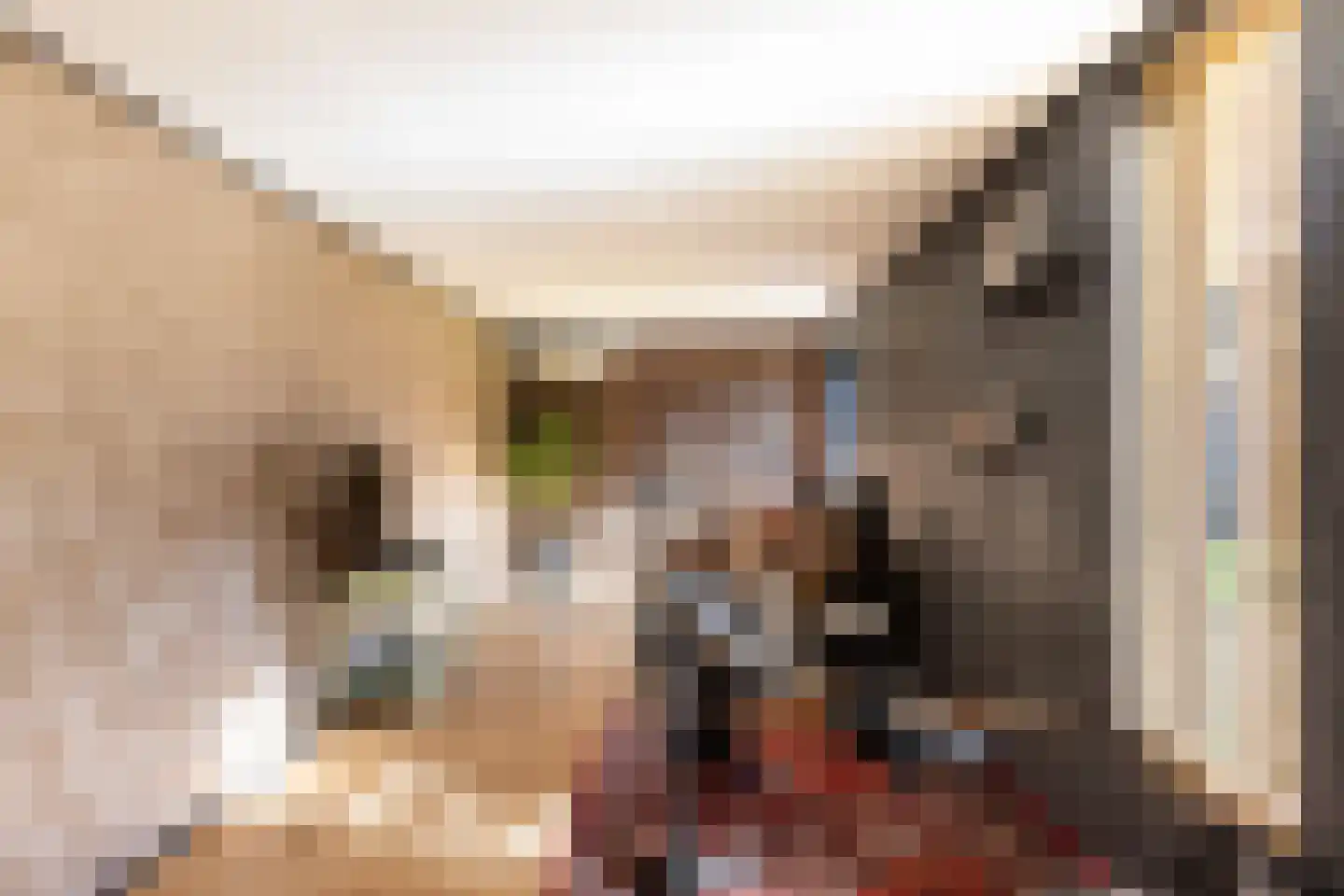 A.A. Meerenburghstraat 3 Strijen thumbnail 33