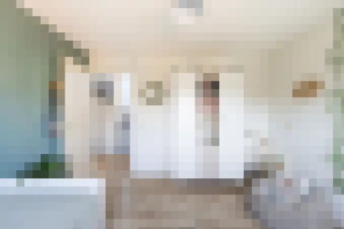 A.A. Meerenburghstraat 3 Strijen thumbnail 41