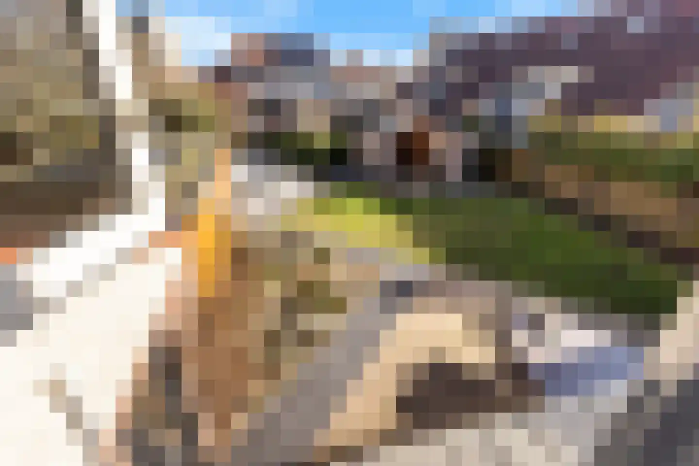 A.A. Meerenburghstraat 3 Strijen thumbnail 46