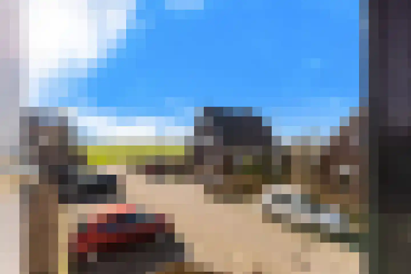 A.A. Meerenburghstraat 3 Strijen thumbnail 47