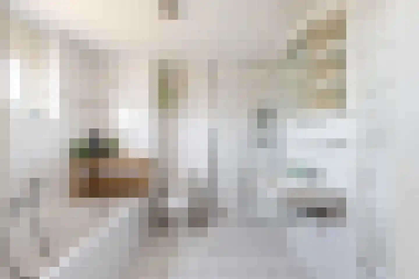 A.A. Meerenburghstraat 3 Strijen thumbnail 49