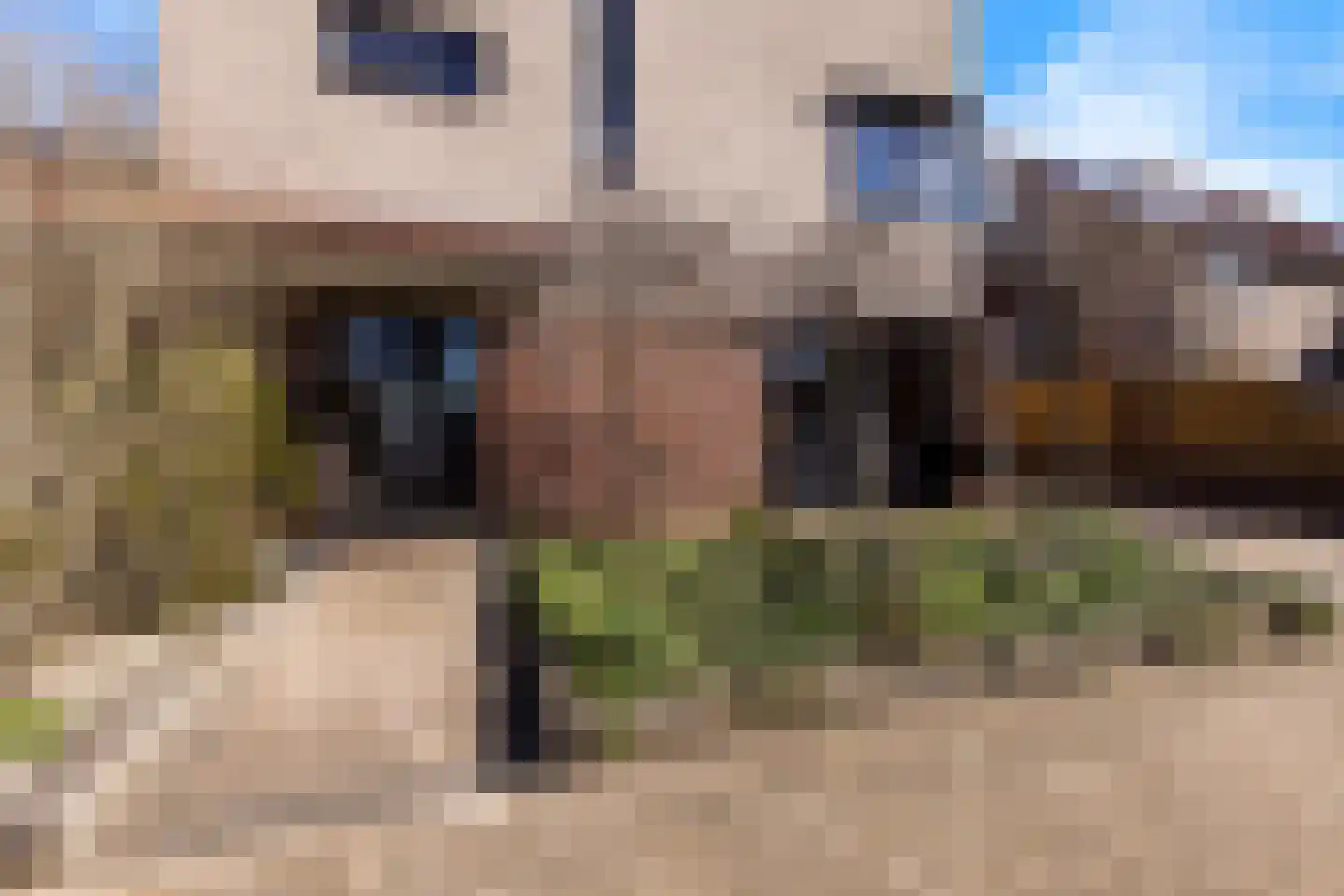 A.A. Meerenburghstraat 3 Strijen thumbnail 5
