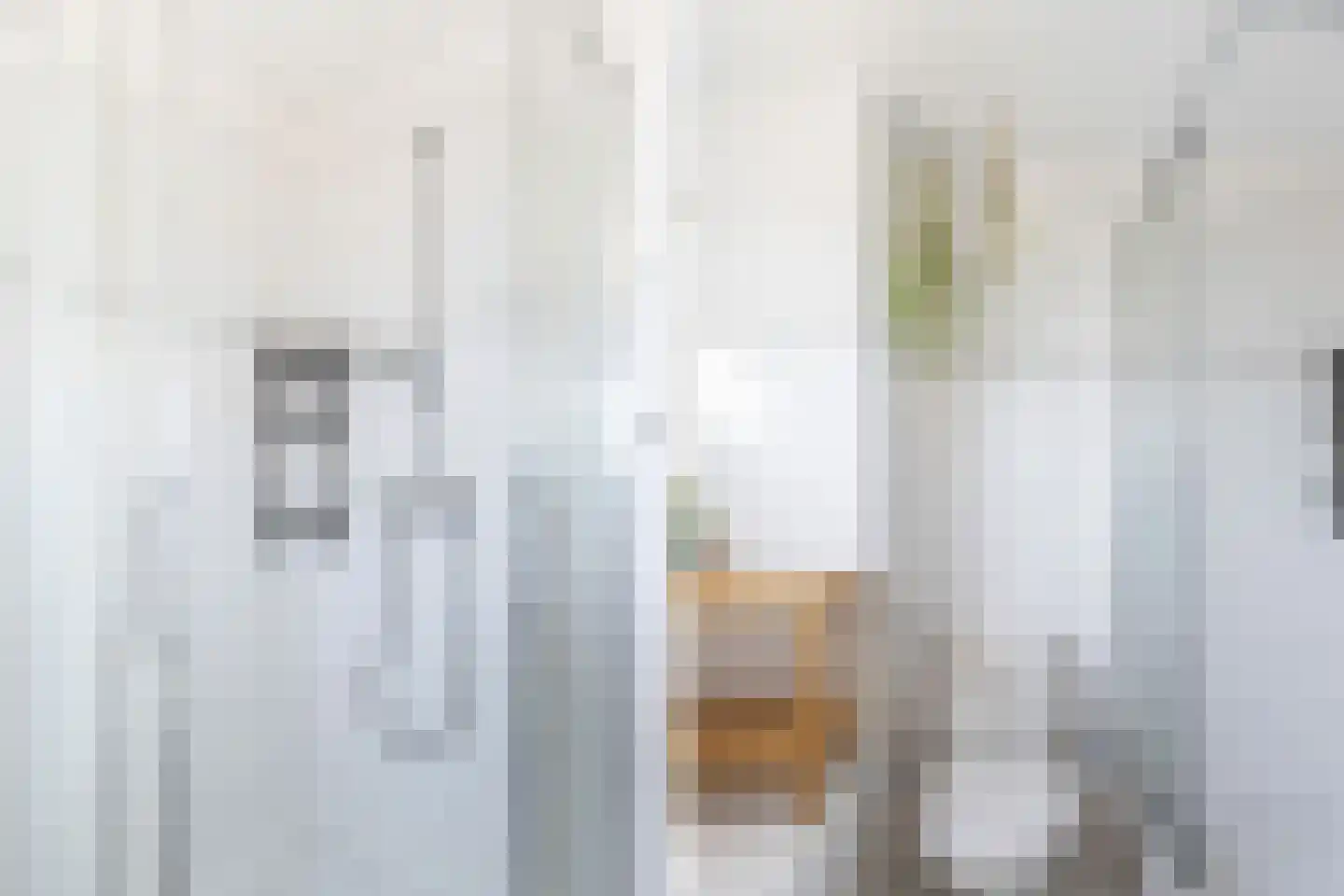 A.A. Meerenburghstraat 3 Strijen thumbnail 51