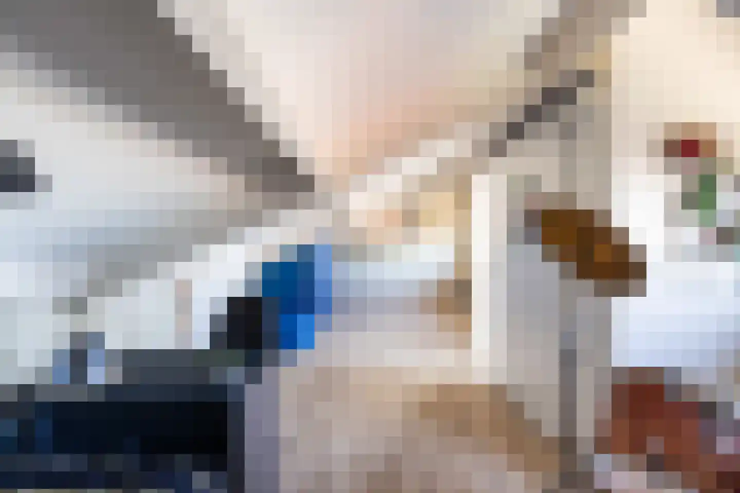 A.A. Meerenburghstraat 3 Strijen thumbnail 56