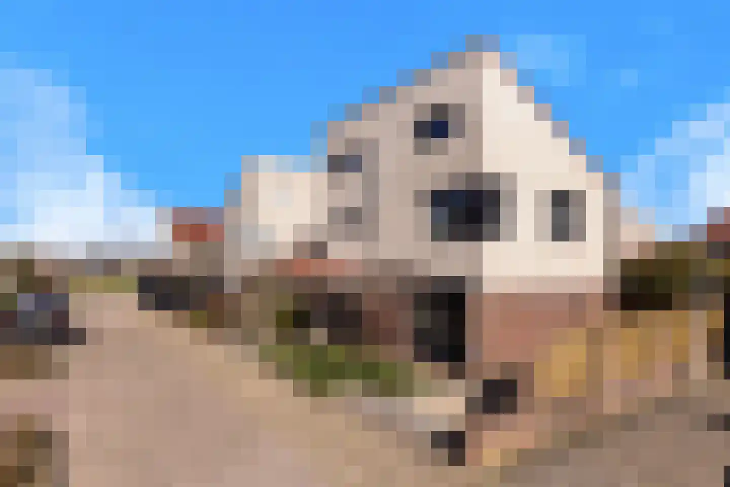 A.A. Meerenburghstraat 3 Strijen thumbnail 58