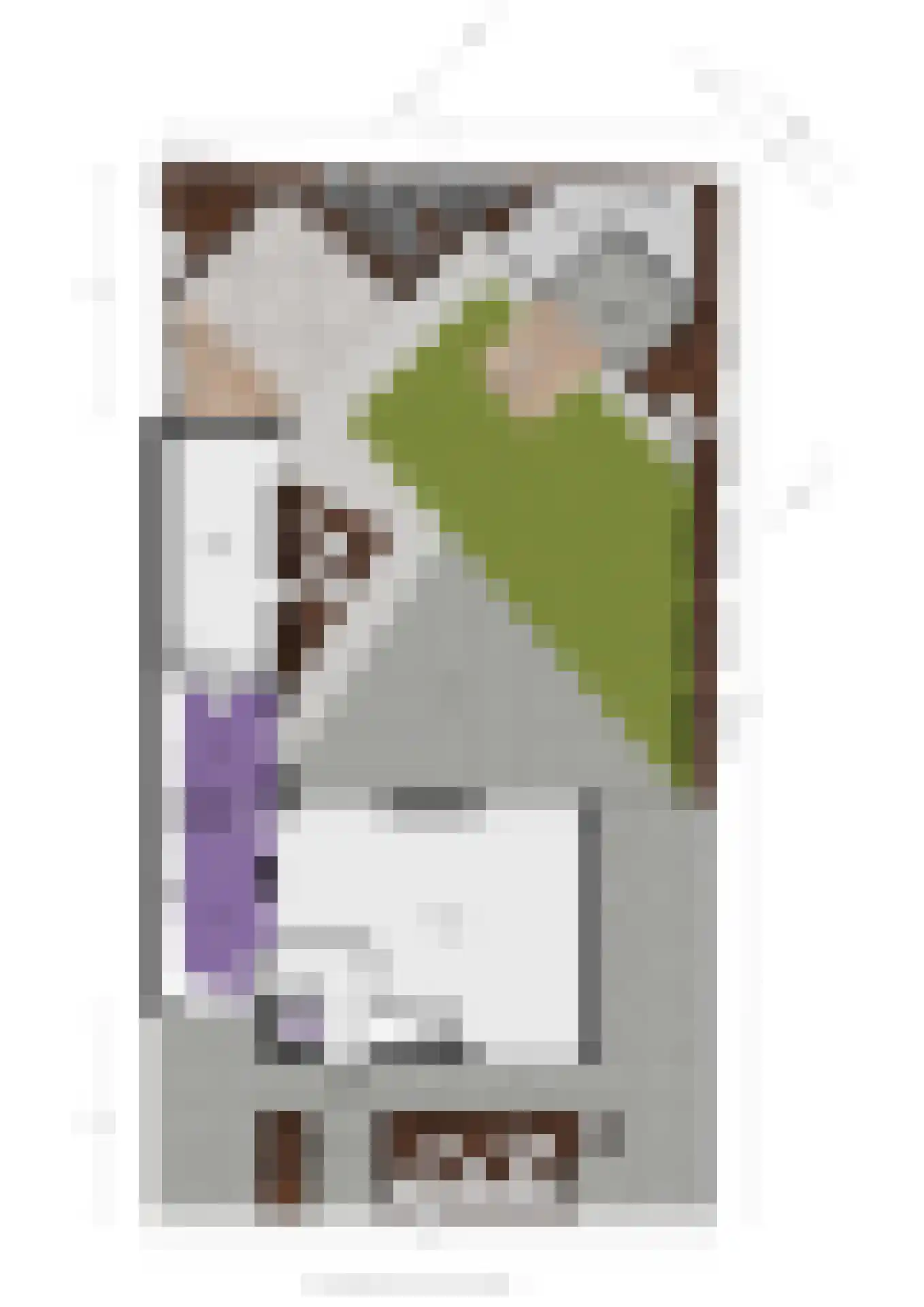 A.A. Meerenburghstraat 3 Strijen thumbnail 63