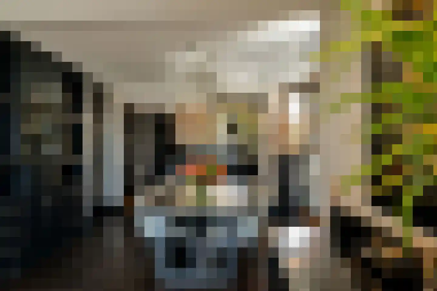 A.A. Meerenburghstraat 4 Strijen thumbnail 12