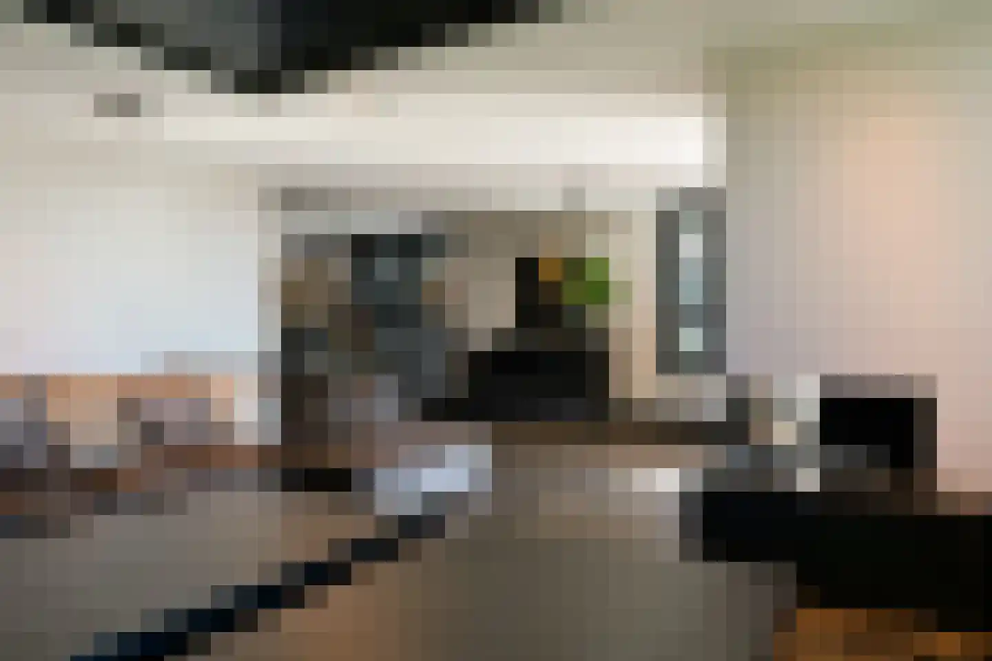 A.A. Meerenburghstraat 4 Strijen thumbnail 18