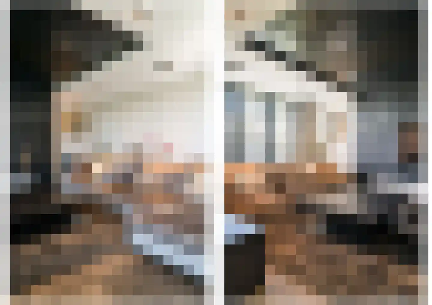 A.A. Meerenburghstraat 4 Strijen thumbnail 20