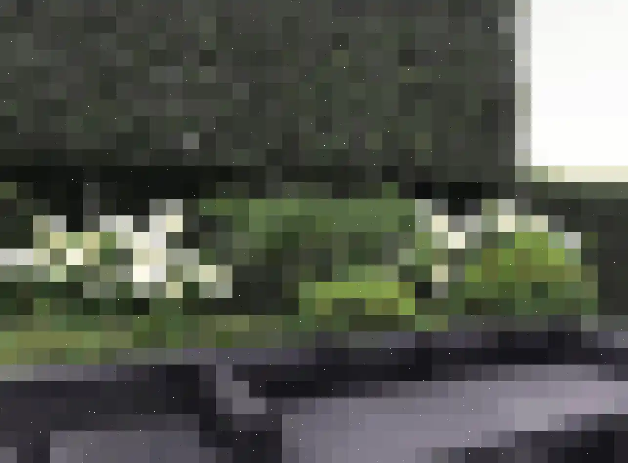A.A. Meerenburghstraat 4 Strijen thumbnail 34
