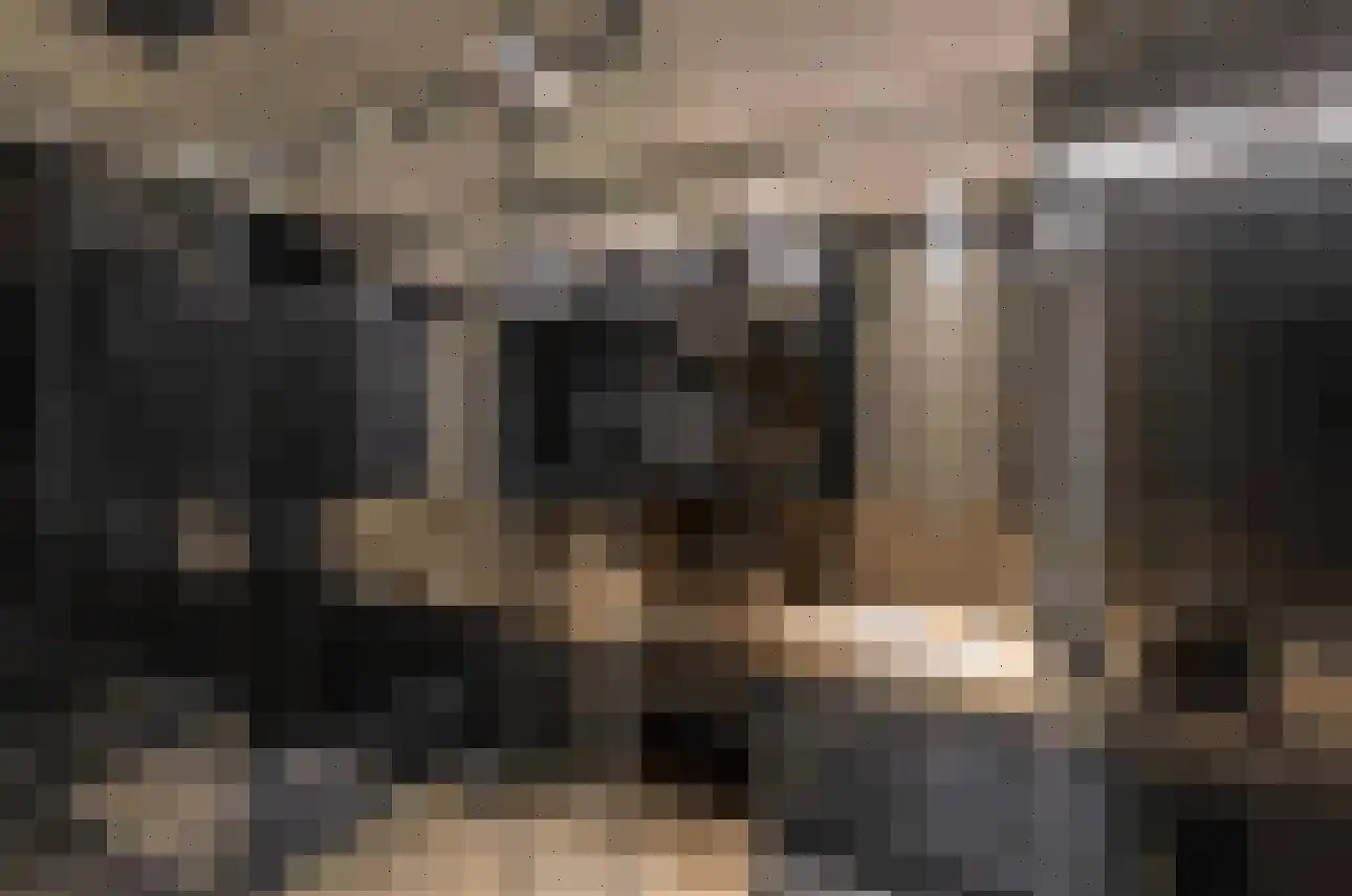 A.A. Meerenburghstraat 4 Strijen thumbnail 58