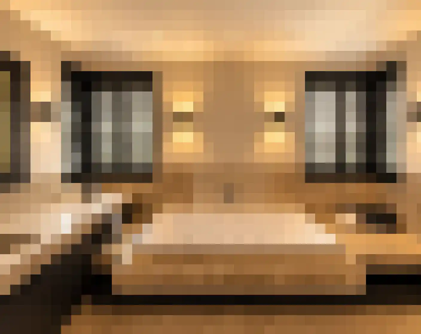 A.A. Meerenburghstraat 4 Strijen thumbnail 64