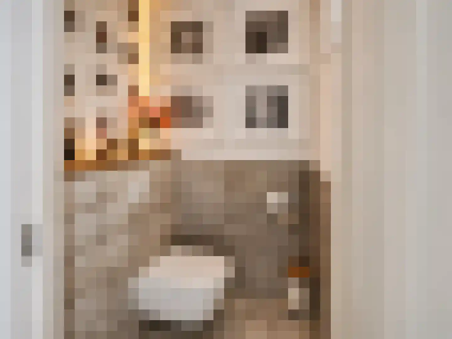 A. Anemastraat 10 Papendrecht thumbnail 10