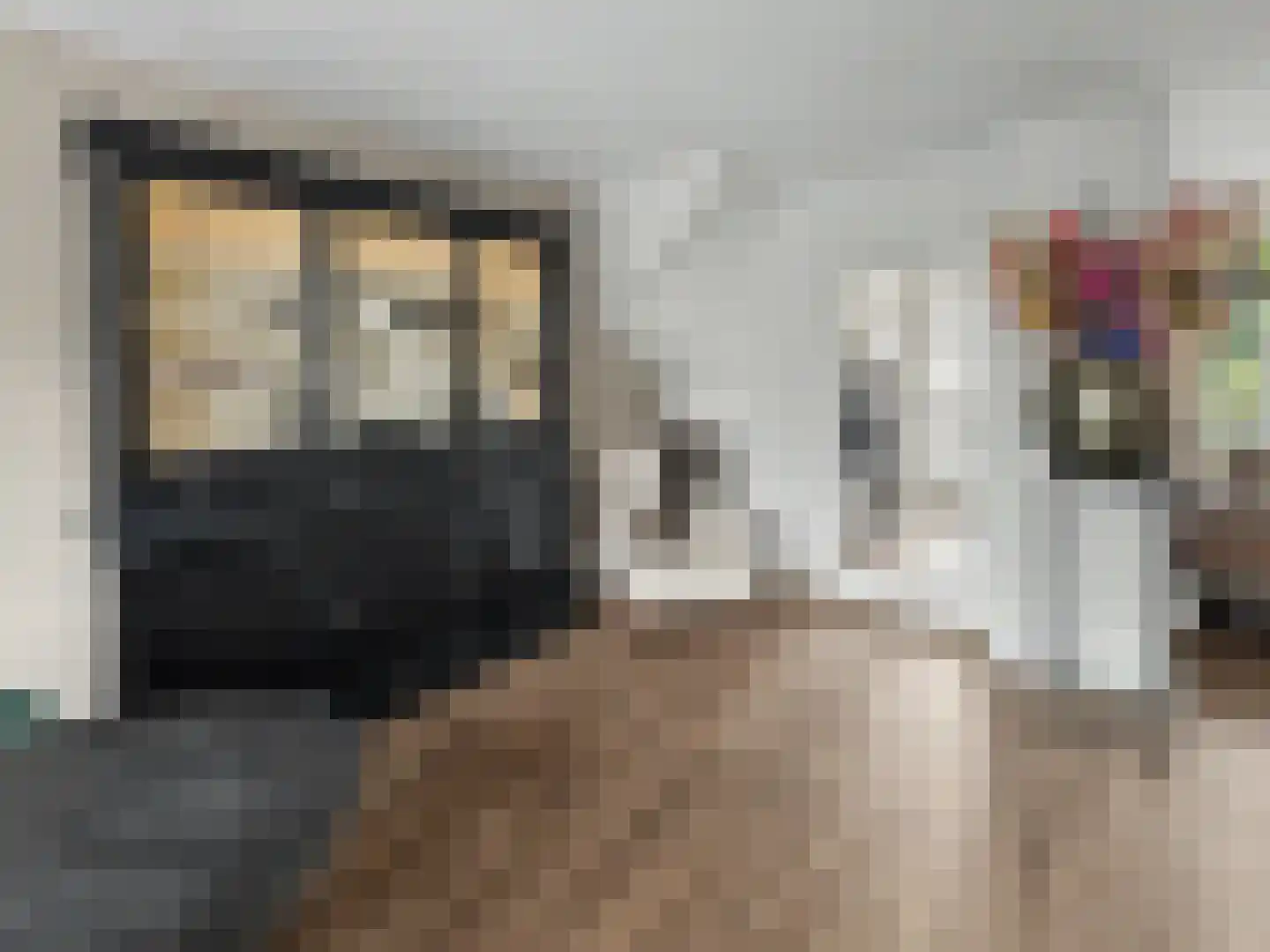 A. Anemastraat 10 Papendrecht thumbnail 11
