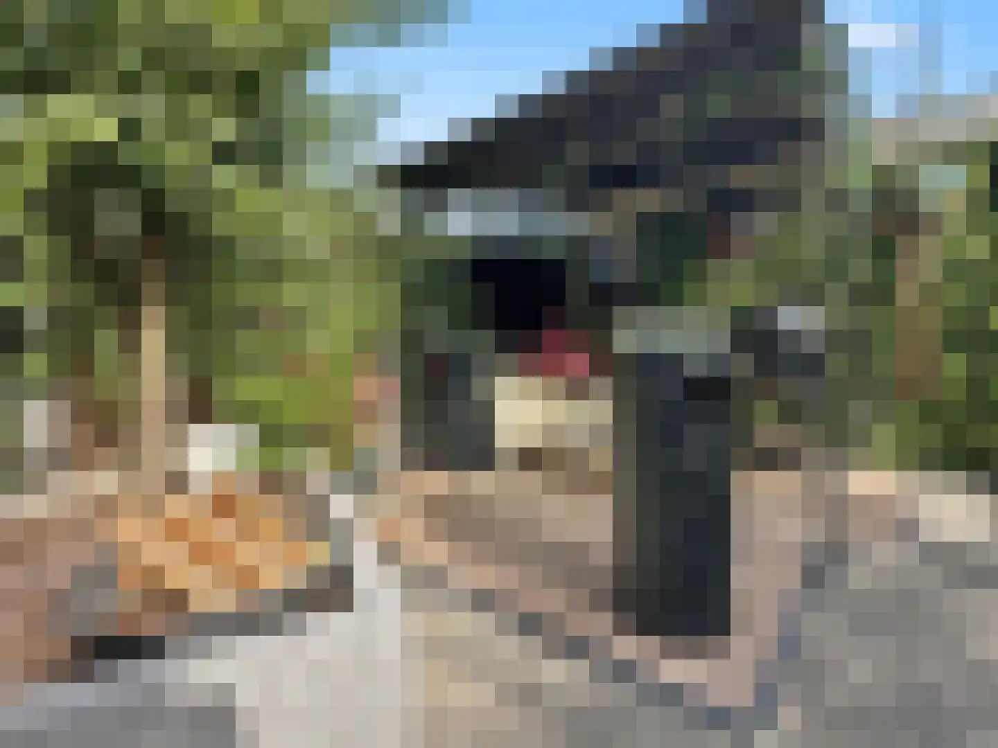 A. Anemastraat 10 Papendrecht thumbnail 19