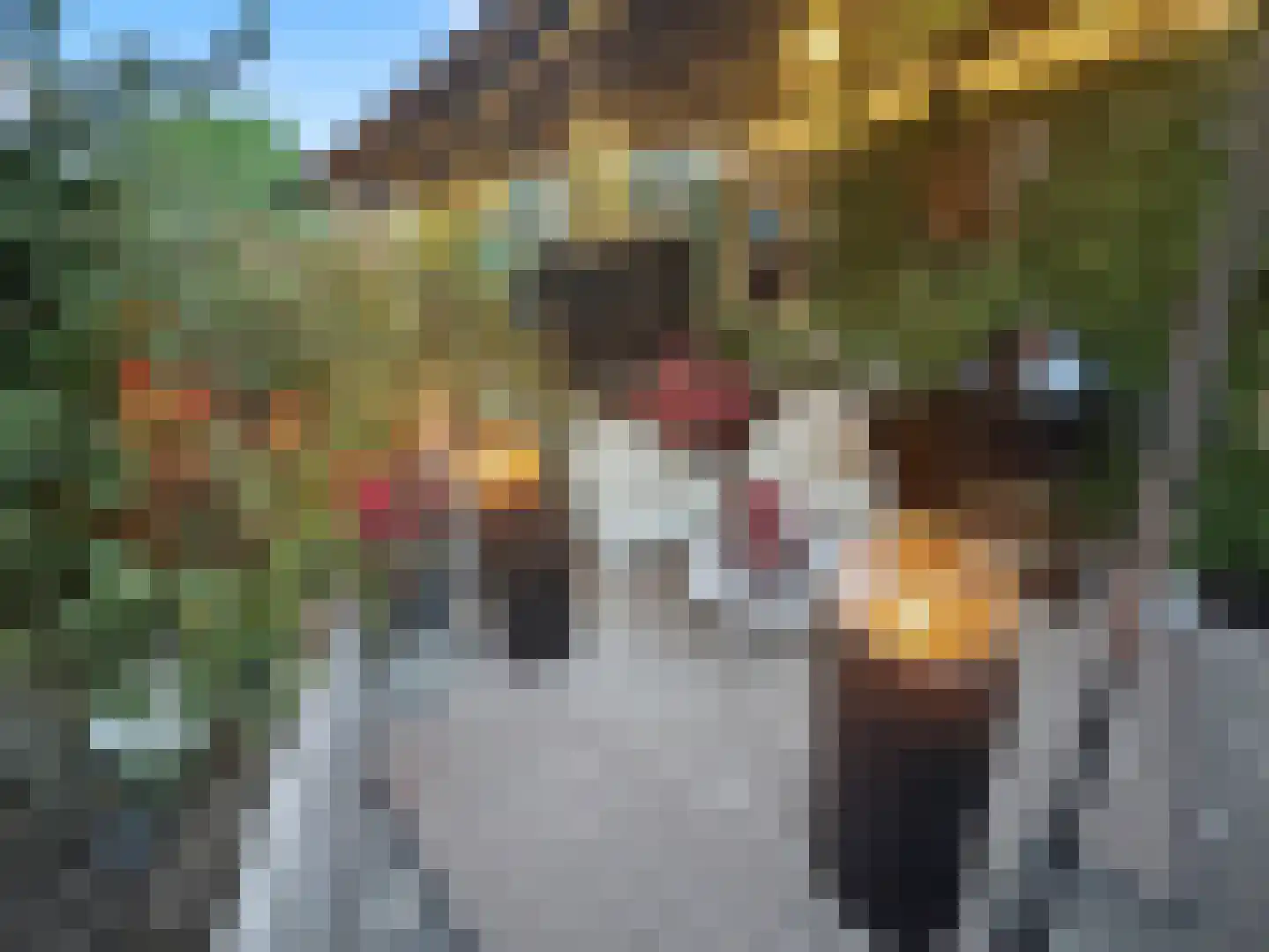 A. Anemastraat 10 Papendrecht thumbnail 20