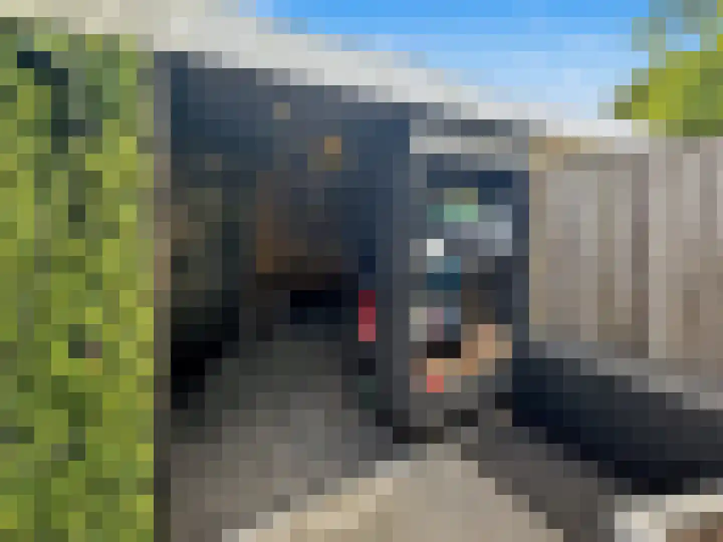A. Anemastraat 10 Papendrecht thumbnail 22