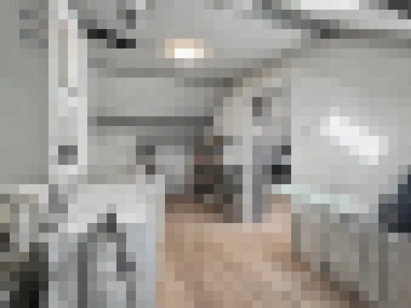 A. Anemastraat 10 Papendrecht thumbnail 38