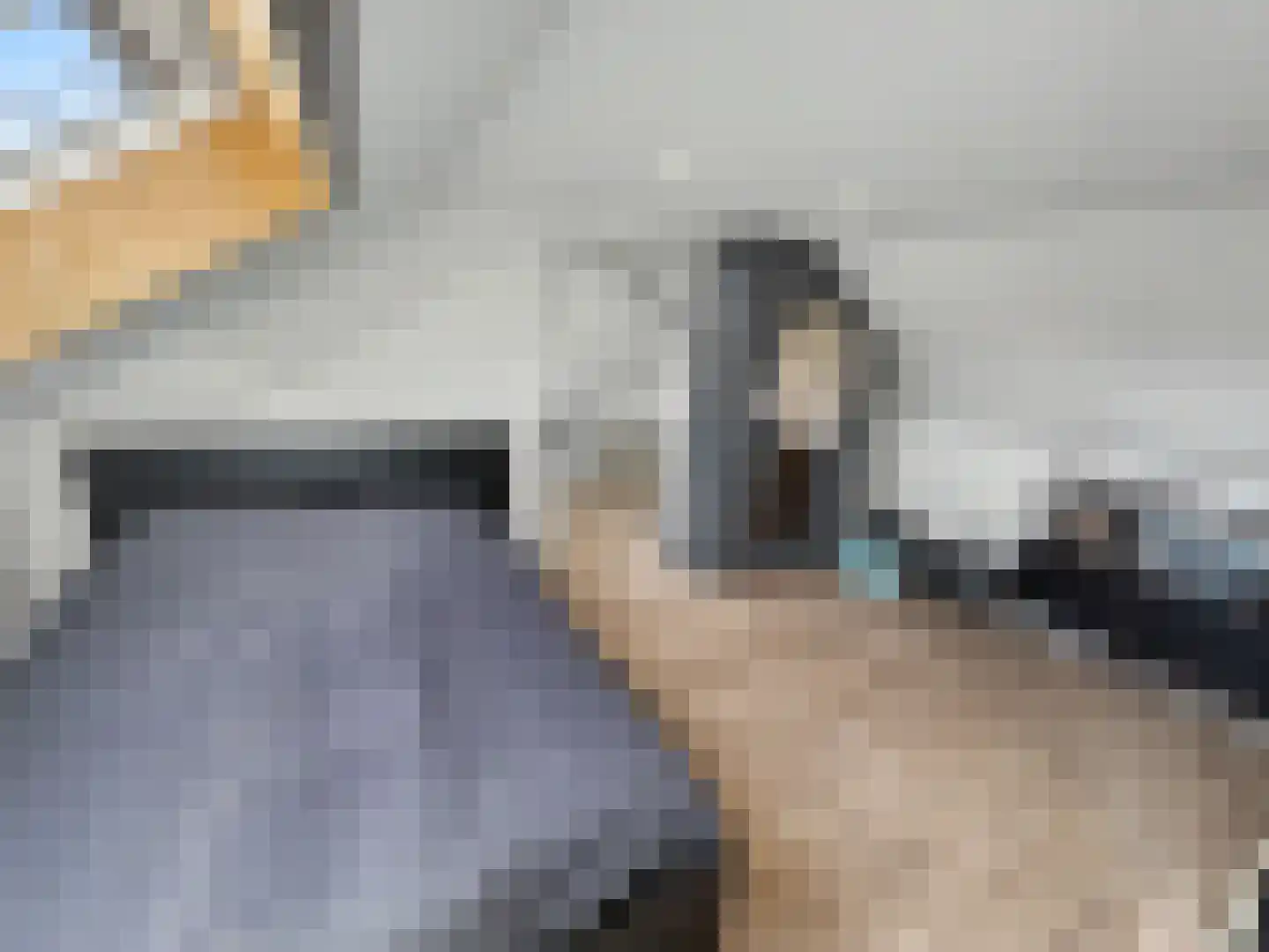 A. Anemastraat 10 Papendrecht thumbnail 39