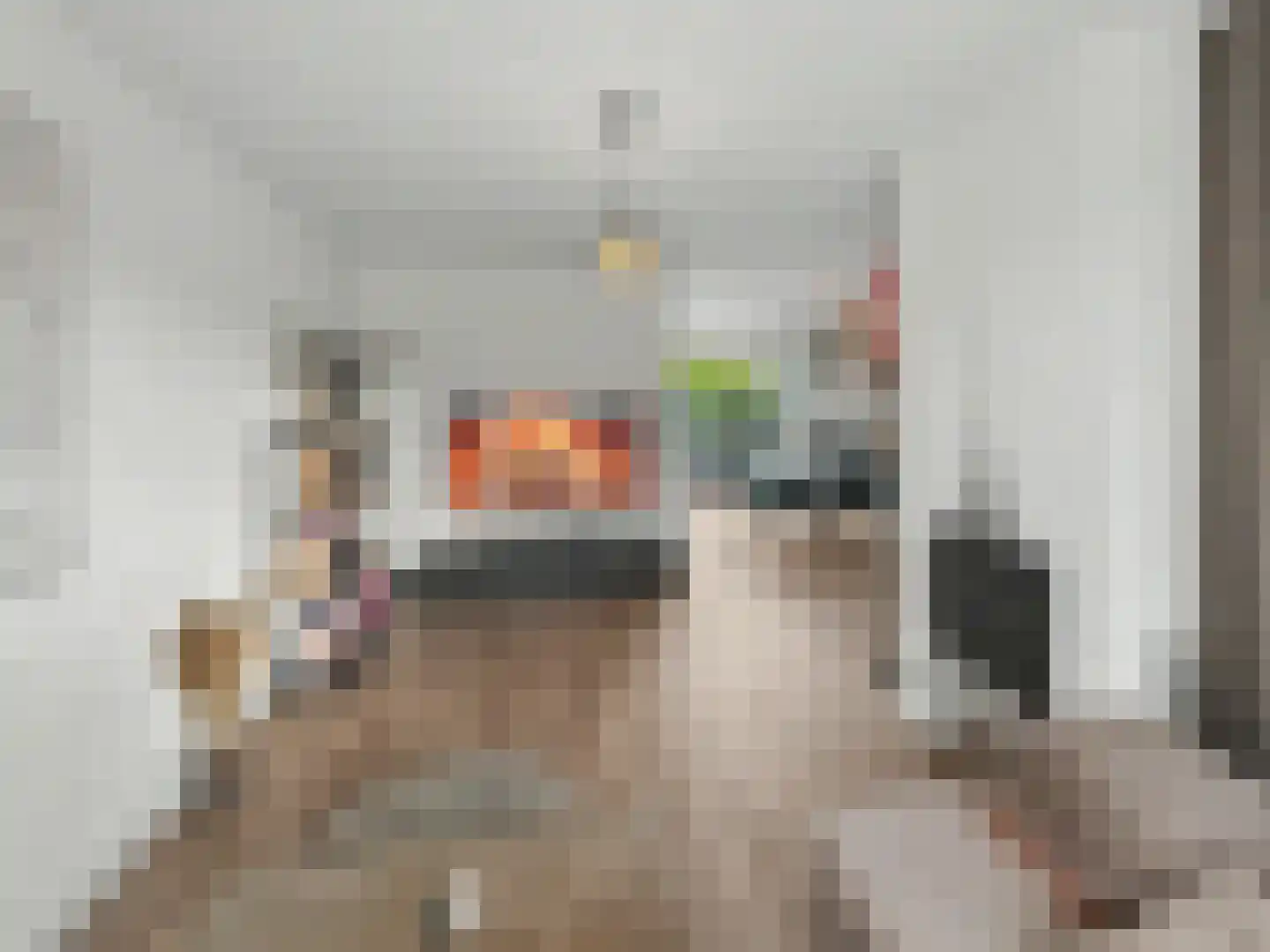 A. Anemastraat 10 Papendrecht thumbnail 4