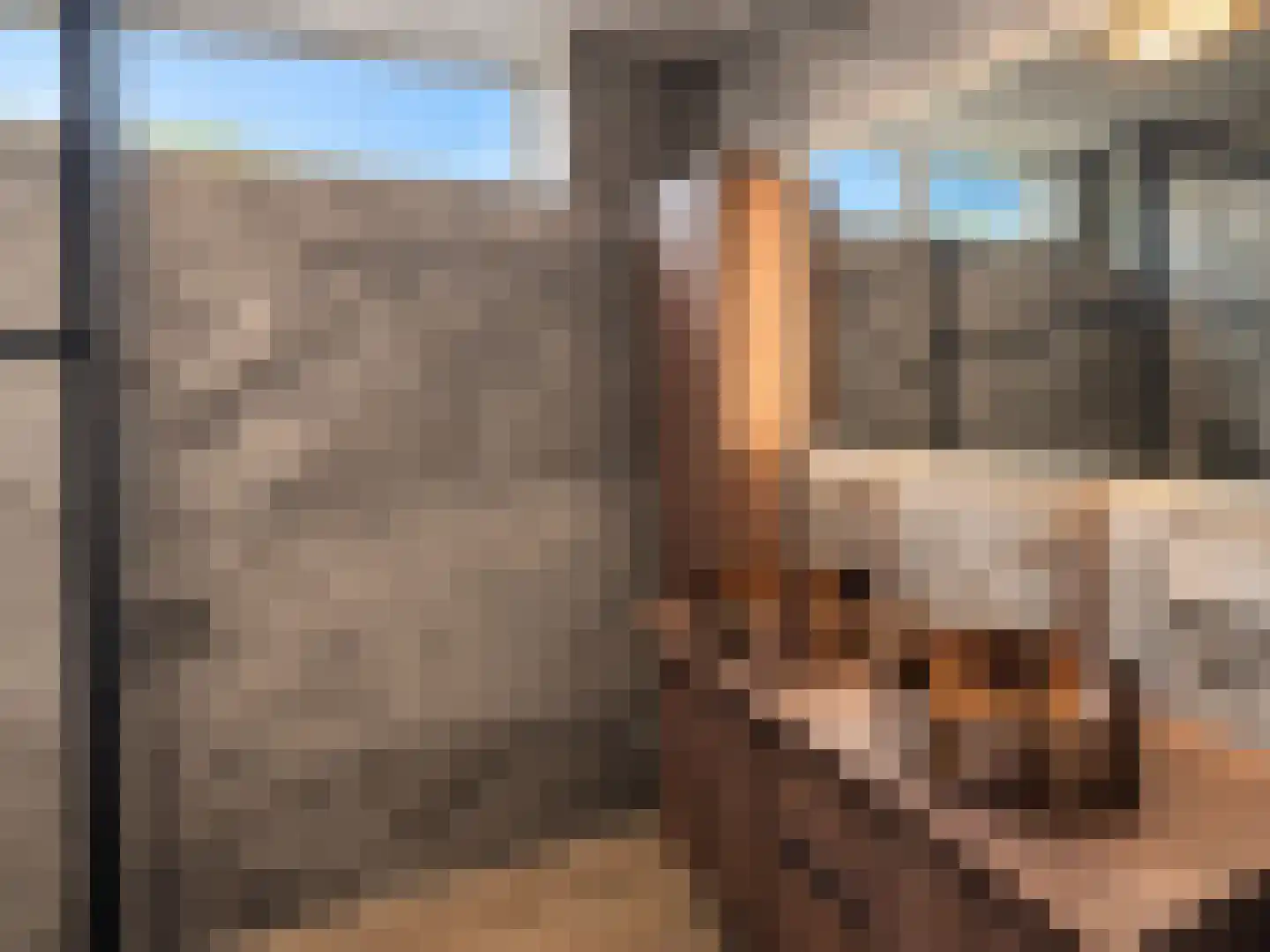A. Anemastraat 10 Papendrecht thumbnail 5