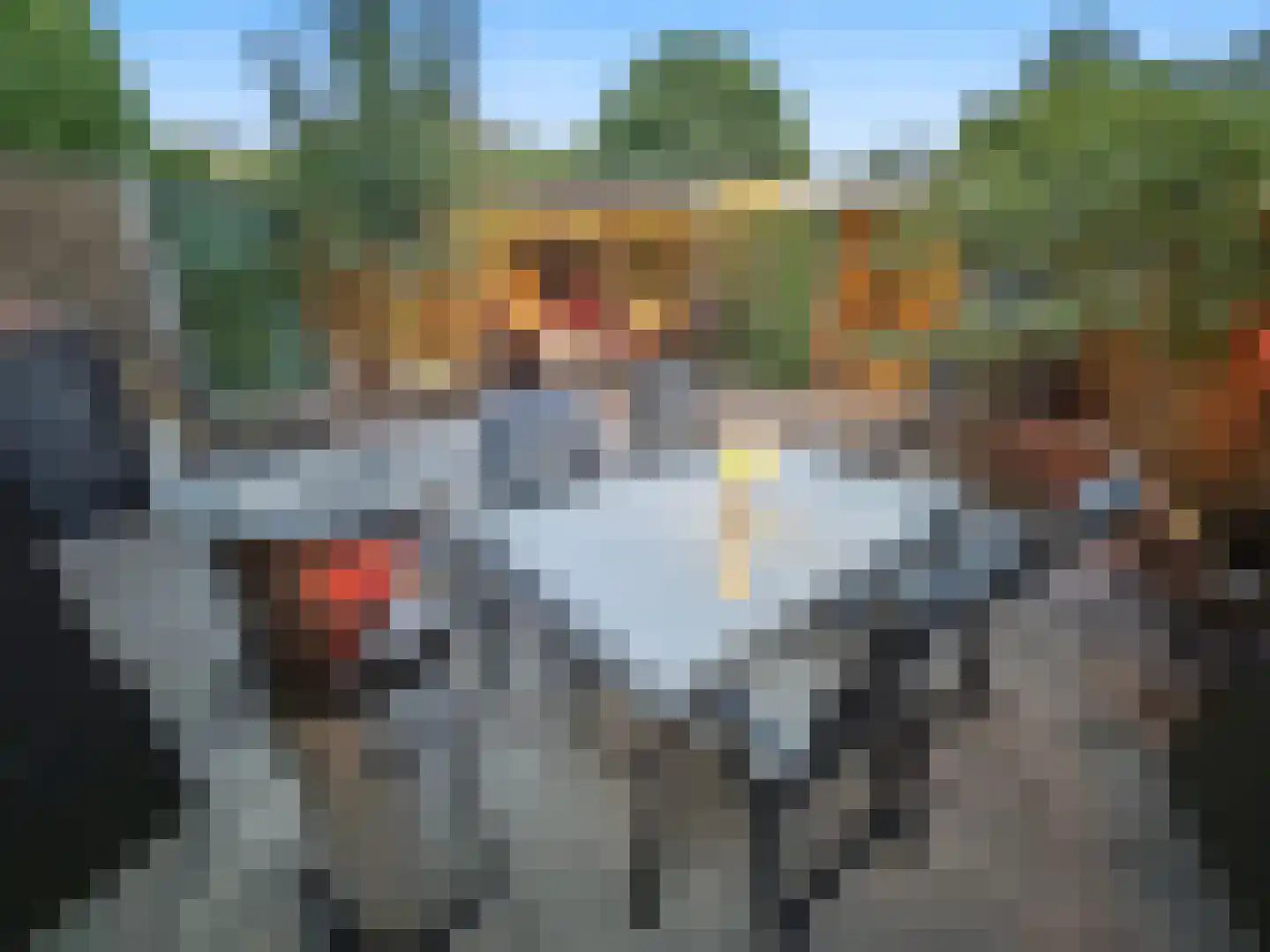 A. Anemastraat 10 Papendrecht thumbnail 6