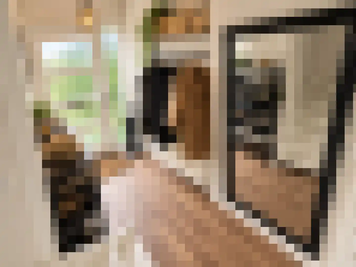 A. Anemastraat 10 Papendrecht thumbnail 9