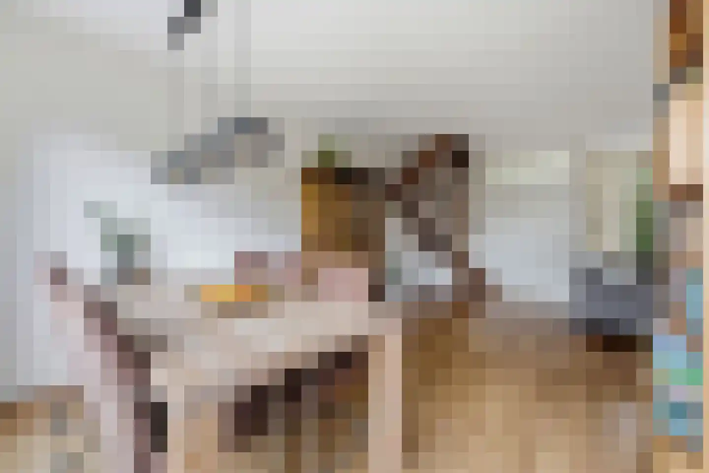 A. Anemastraat 12 Papendrecht thumbnail 14