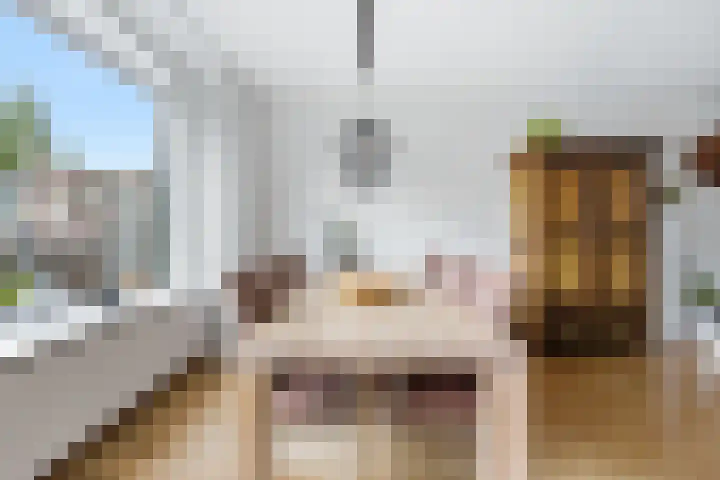 A. Anemastraat 12 Papendrecht thumbnail 15