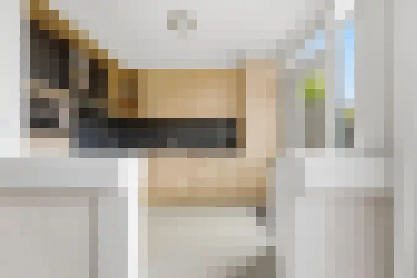A. Anemastraat 12 Papendrecht thumbnail 16