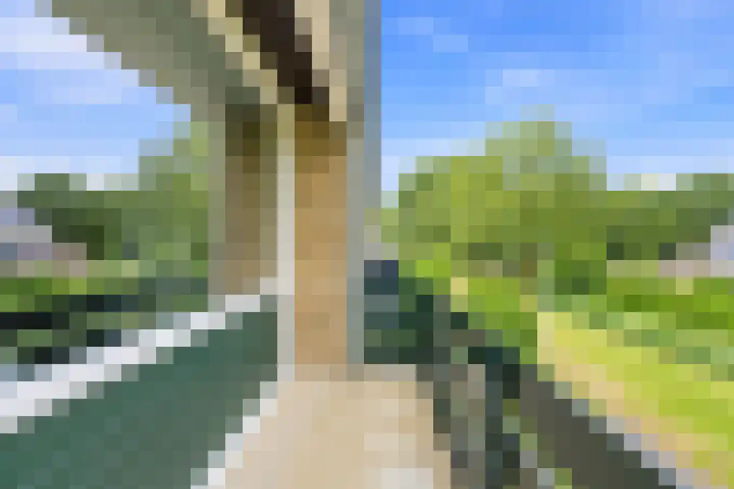 A. Anemastraat 12 Papendrecht thumbnail 30
