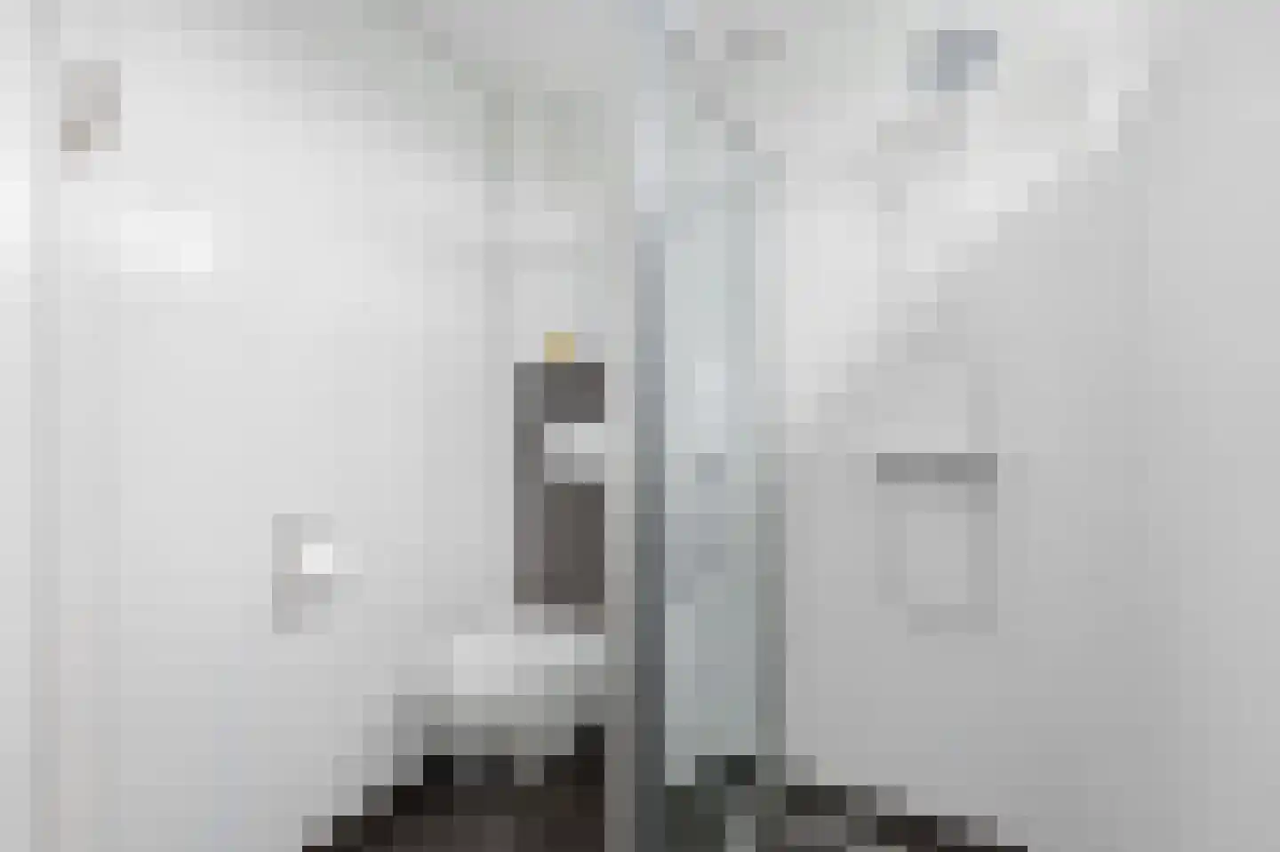 A. Anemastraat 12 Papendrecht thumbnail 35