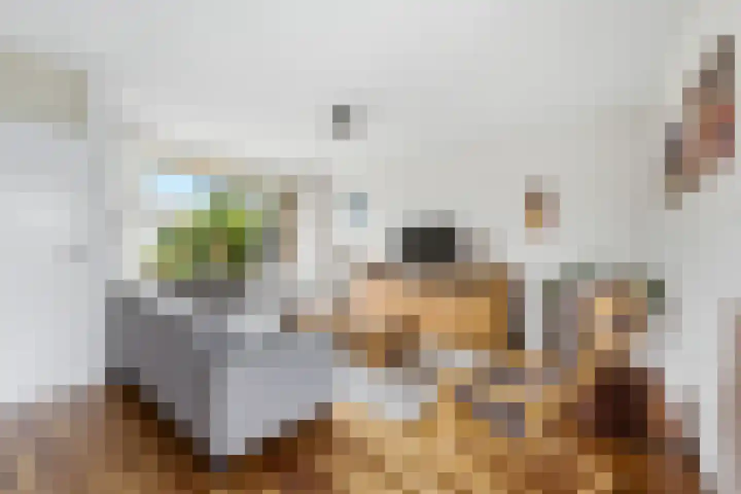 A. Anemastraat 12 Papendrecht thumbnail 4