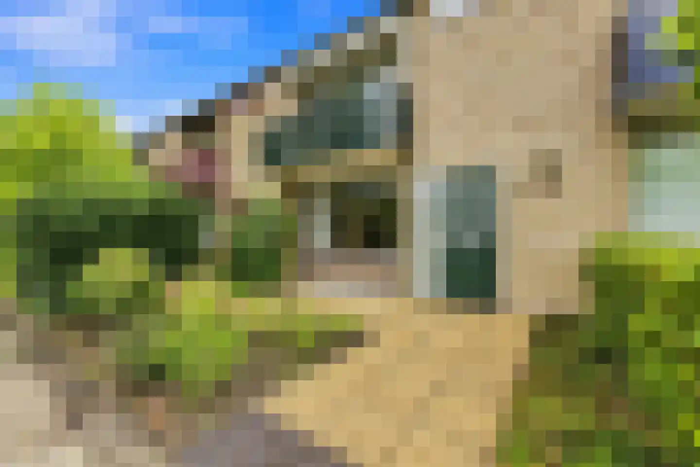 A. Anemastraat 12 Papendrecht thumbnail 51