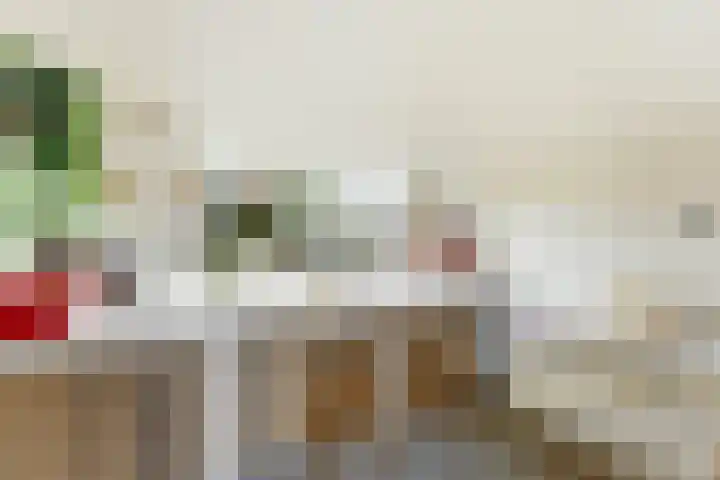 A. Anemastraat 20 Papendrecht thumbnail 12