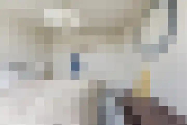 A. Anemastraat 20 Papendrecht thumbnail 29