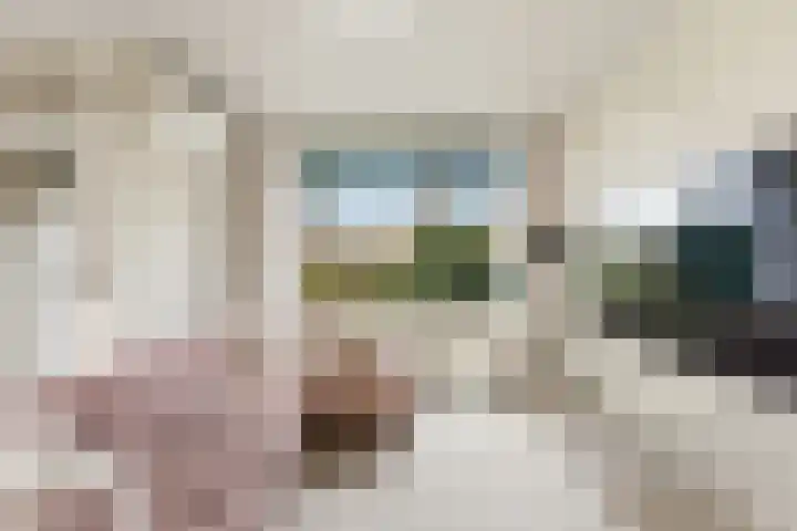 A. Anemastraat 20 Papendrecht thumbnail 4