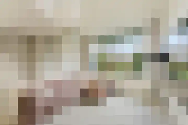 A. Anemastraat 20 Papendrecht thumbnail 5