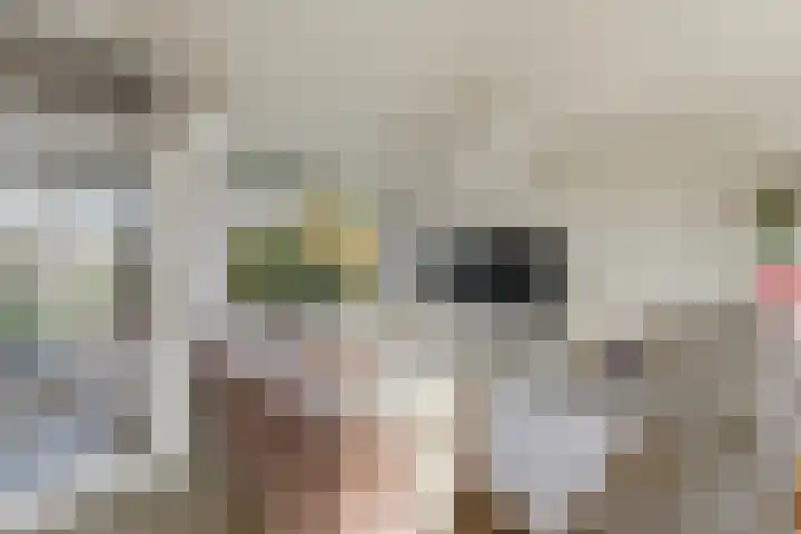A. Anemastraat 20 Papendrecht thumbnail 7