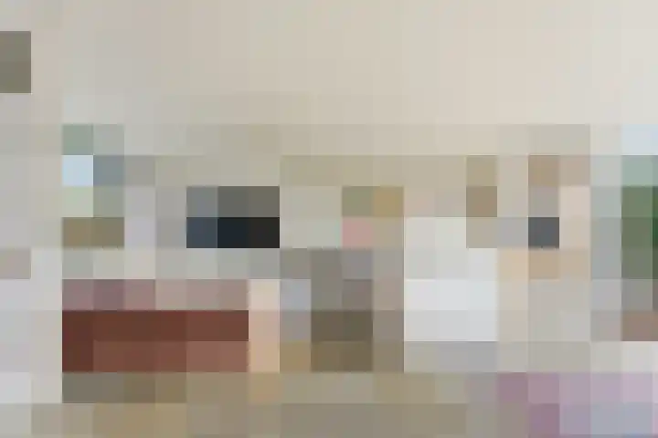 A. Anemastraat 20 Papendrecht thumbnail 8