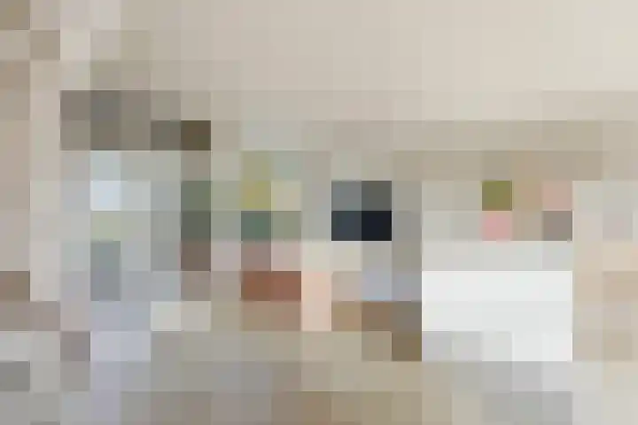 A. Anemastraat 20 Papendrecht thumbnail 9