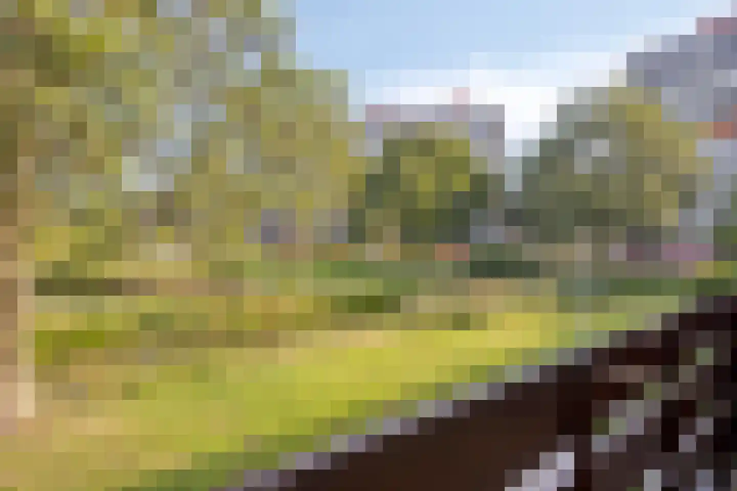 A. Anemastraat 32 Papendrecht thumbnail 20
