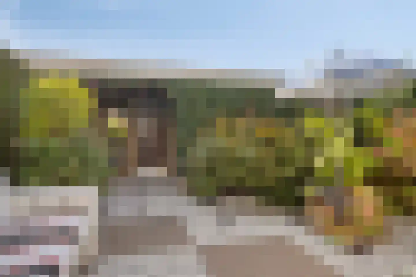 A. Anemastraat 32 Papendrecht thumbnail 31